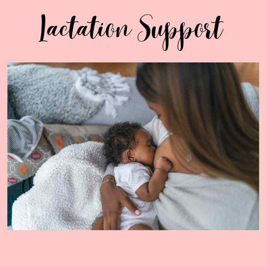 Lactation Support/Counseling